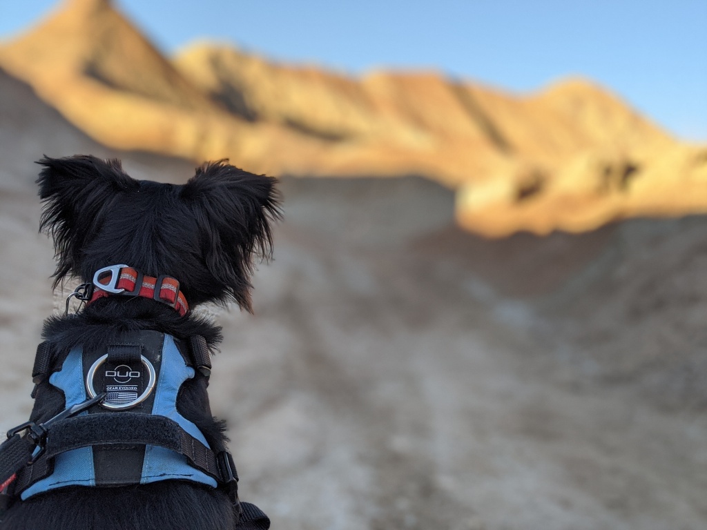 Duo Hoplite MPC Eclipse Review dog harness